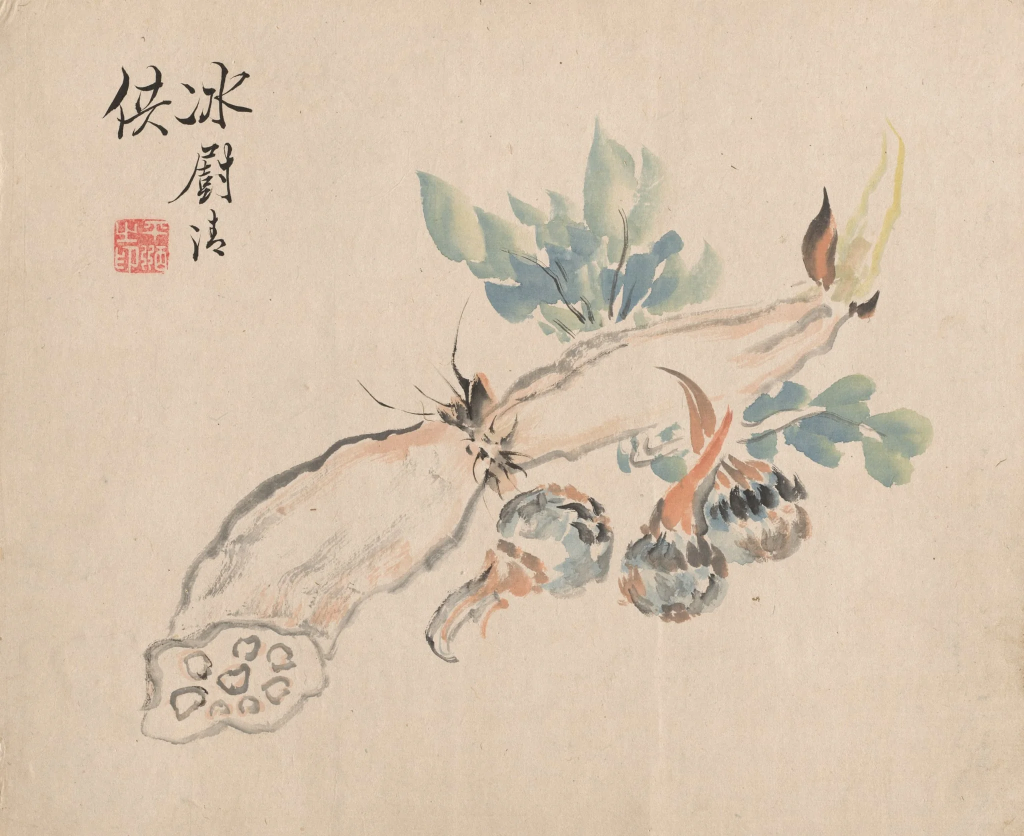 Lotus Root and Adder's Tongue, detail