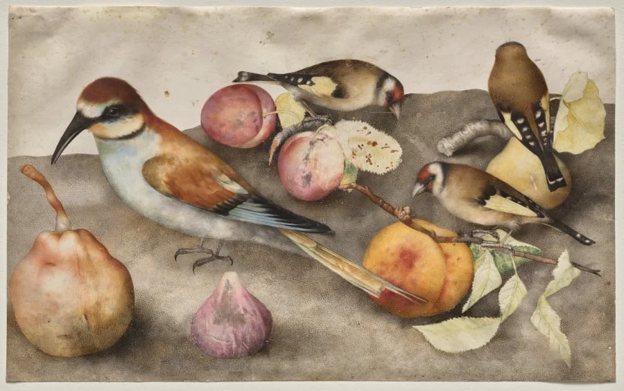 Still Life with Birds and Fruit, detail