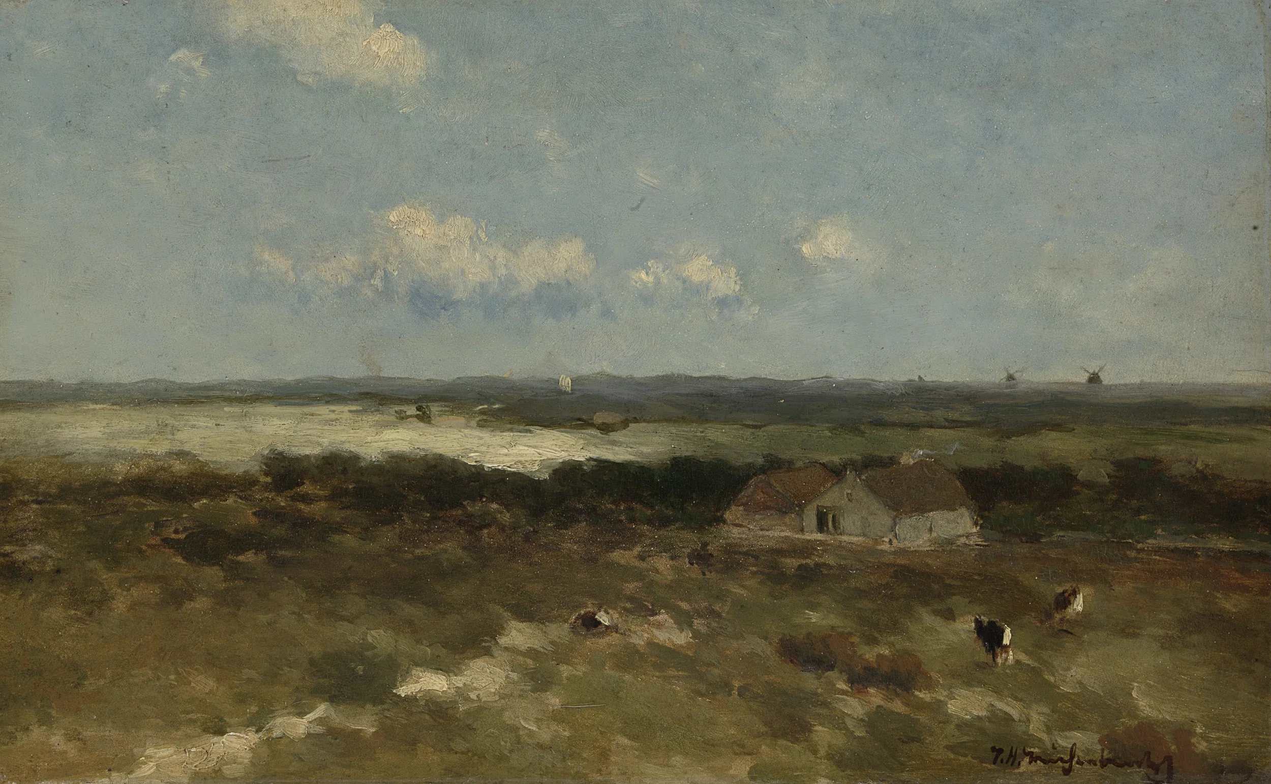 Dune landscape, detail