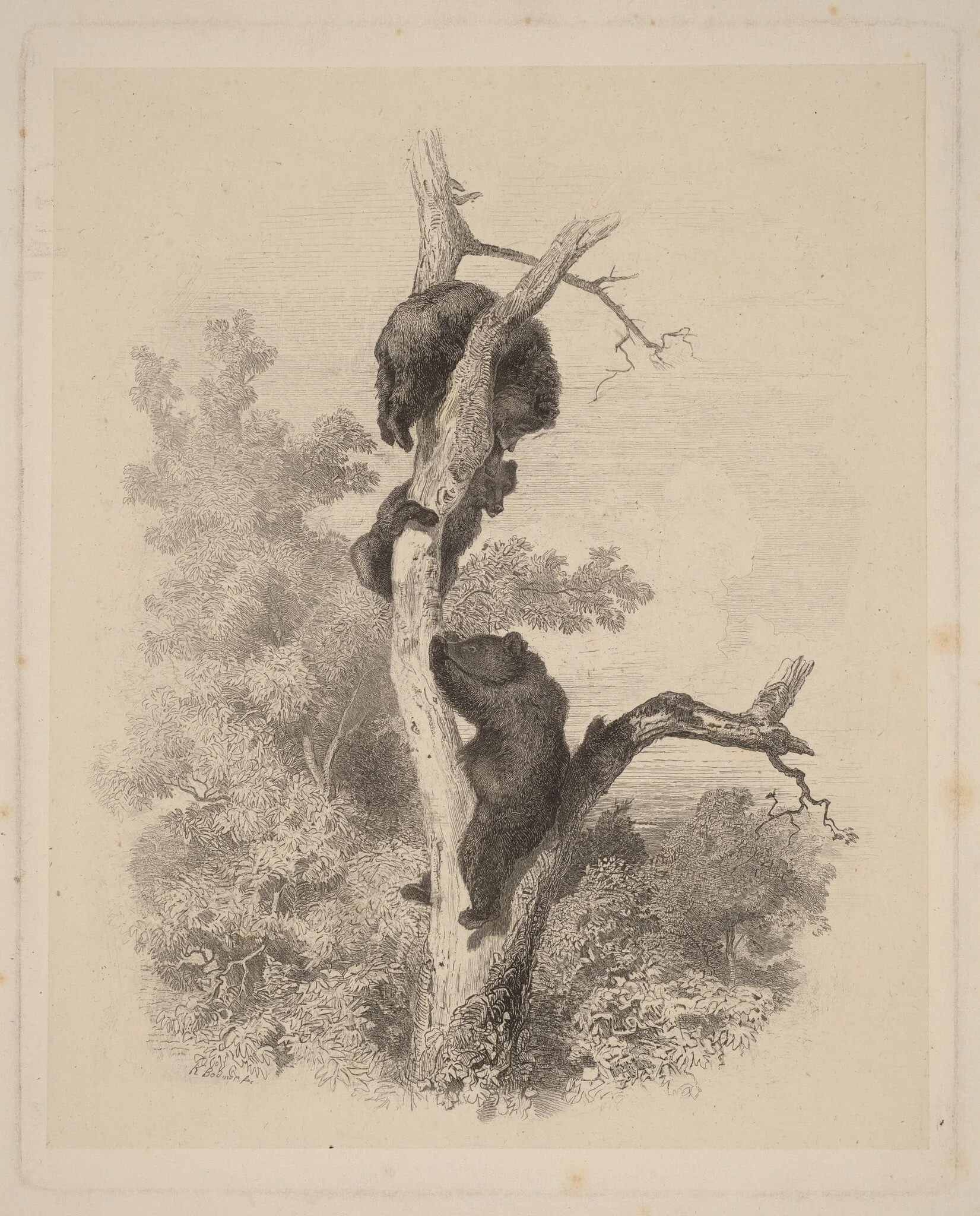 Les Ours (The Bears), detail