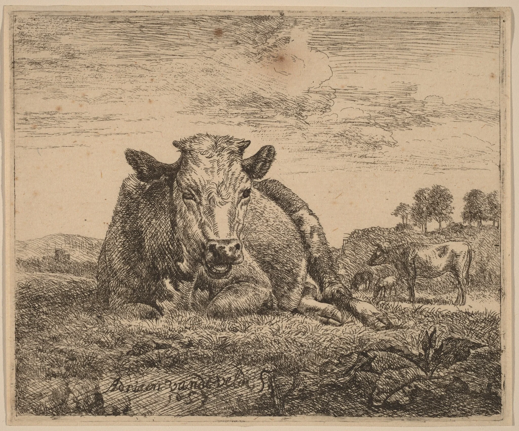 Recumbent Cow, detail