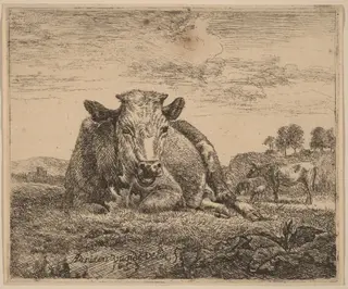 Recumbent Cow, by Adriaen van de Velde, ink, 1657