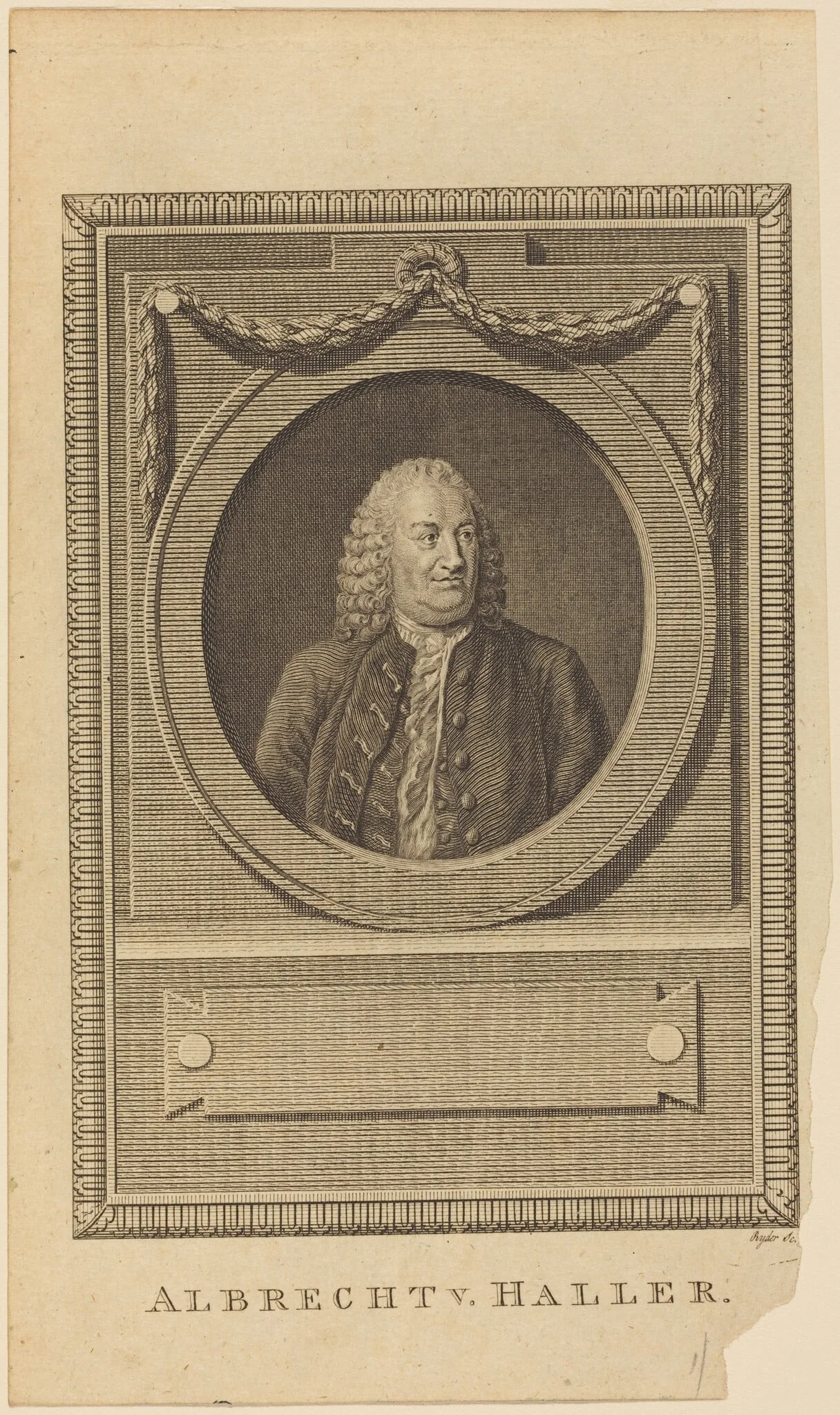 Albrecht V. Haller, detail
