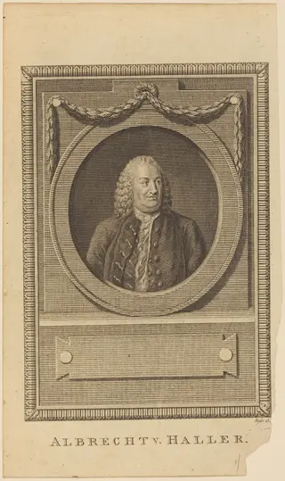 Albrecht V. Haller, by Thomas Ryder, ink, 1780