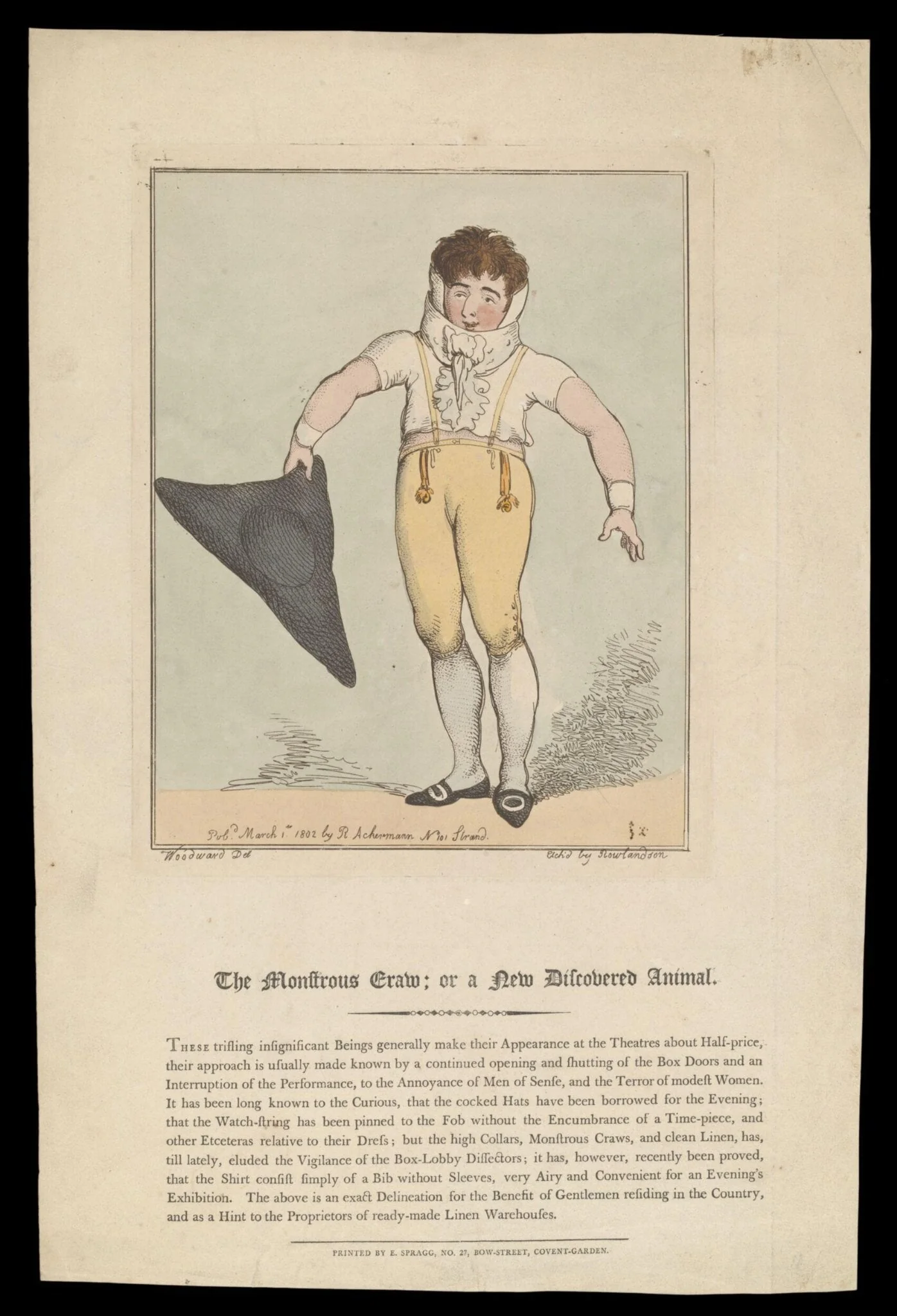 H Beard Print Collection, detail