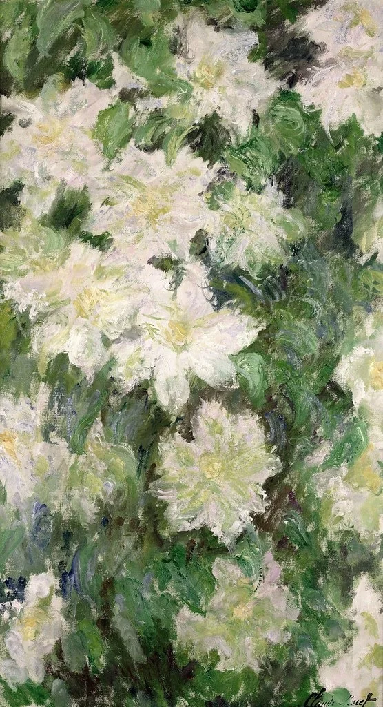 White Clematis, detail