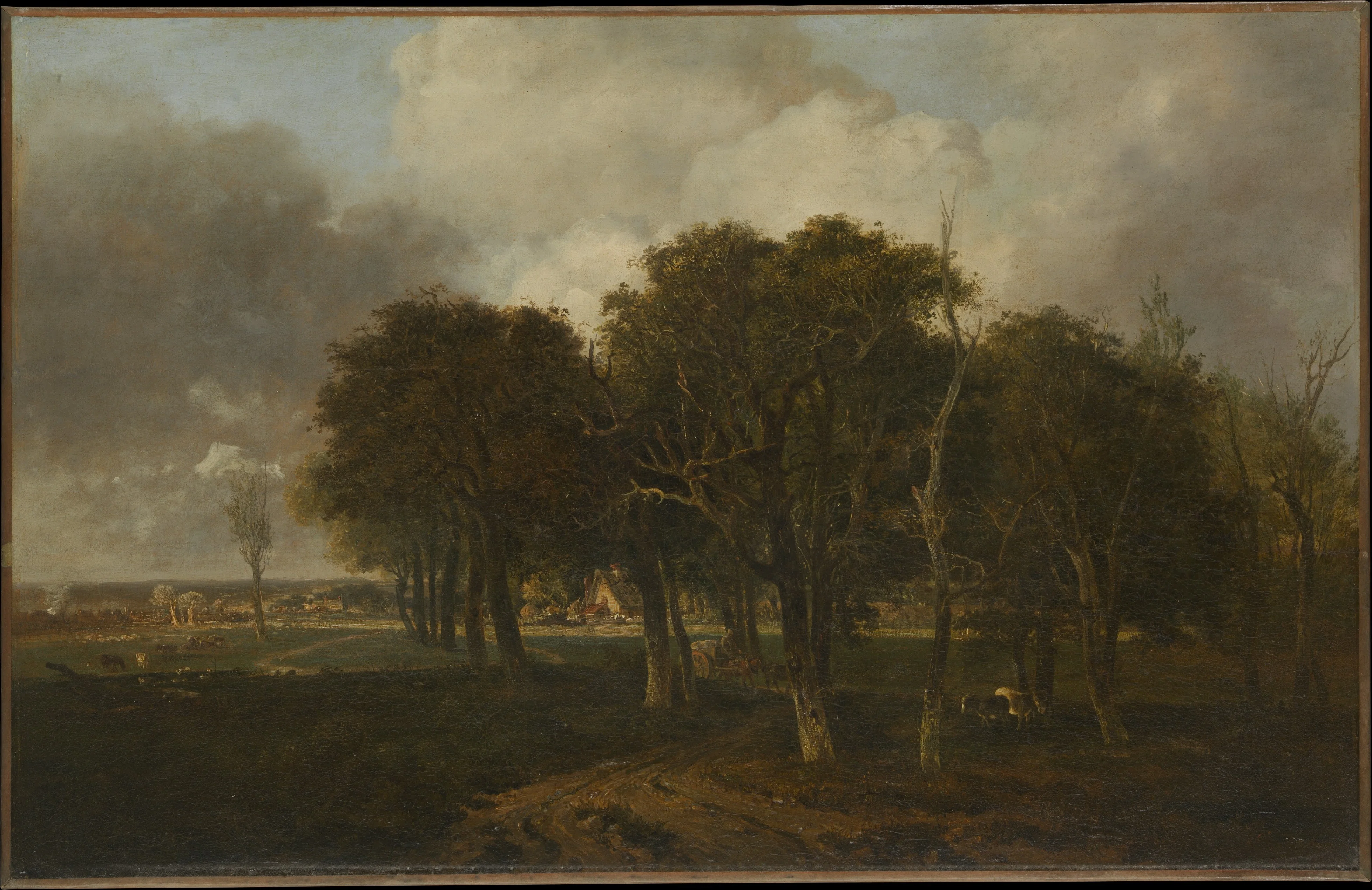 Hautbois Common, Norfolk, detail