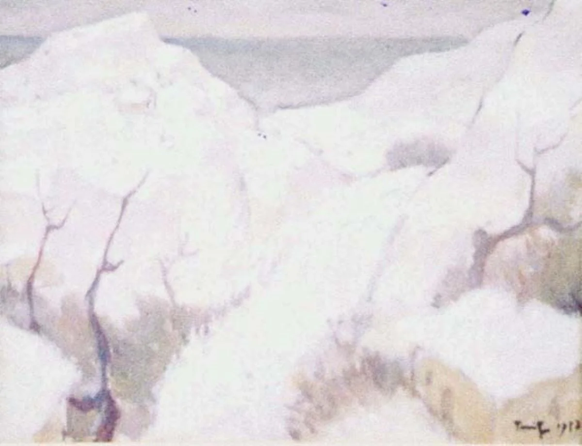Iarna la Balcic, detail