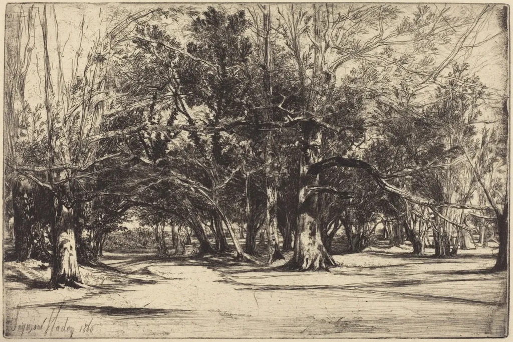 A By-Road in Tipperary, by Francis Seymour Haden, ink, 1860