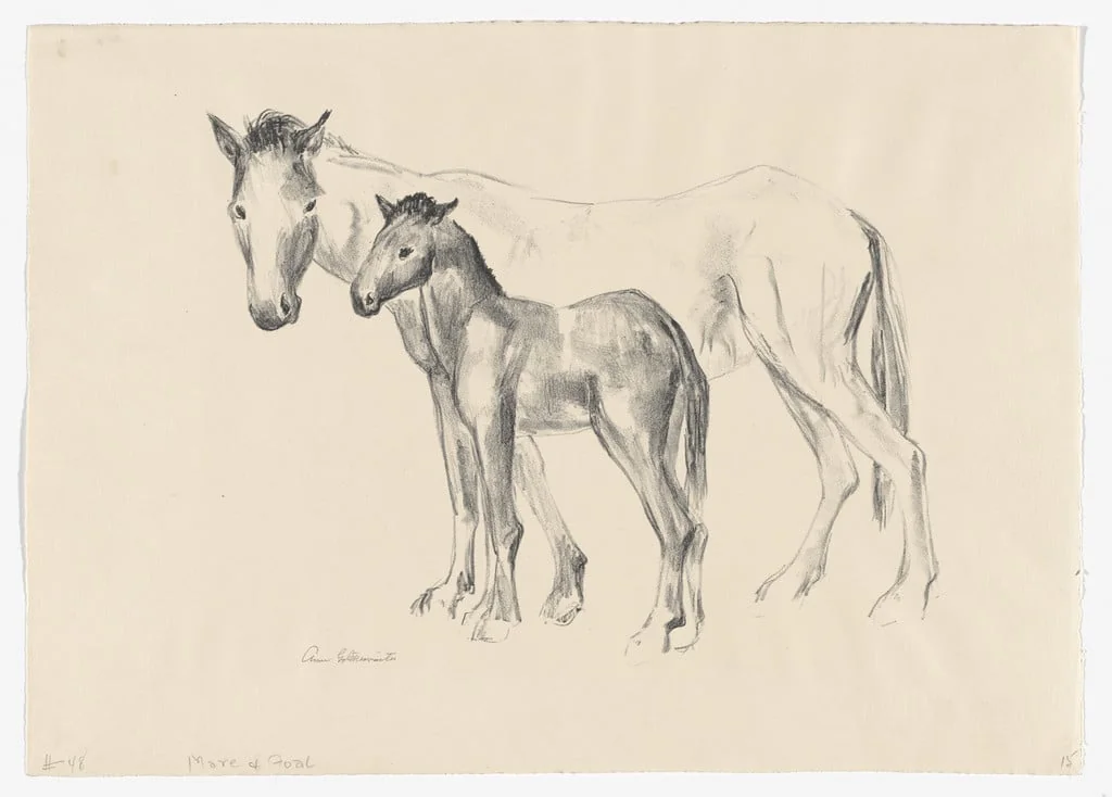 Untitled, detail