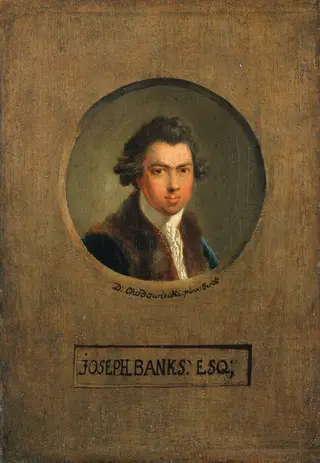 The Botanist Joseph Banks, by Daniel Nikolaus Chodowiecki, unspecified, 1790