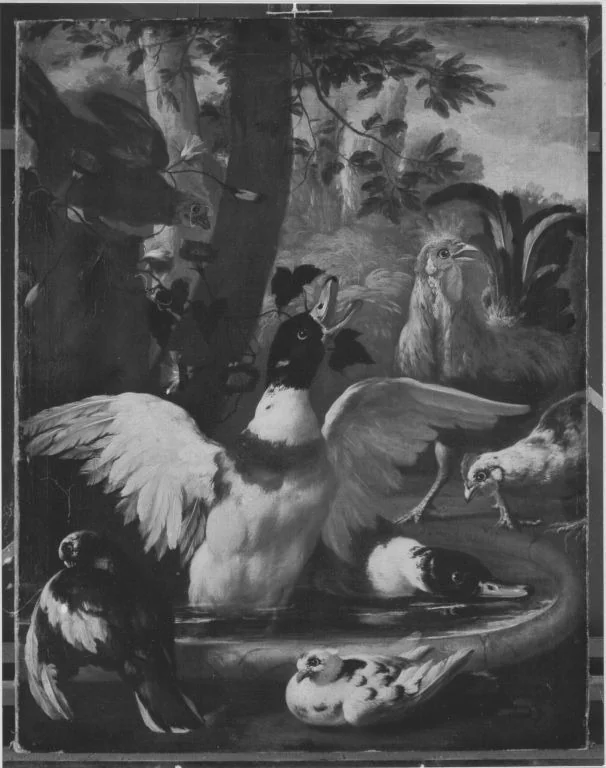 Enten und Hühner, detail
