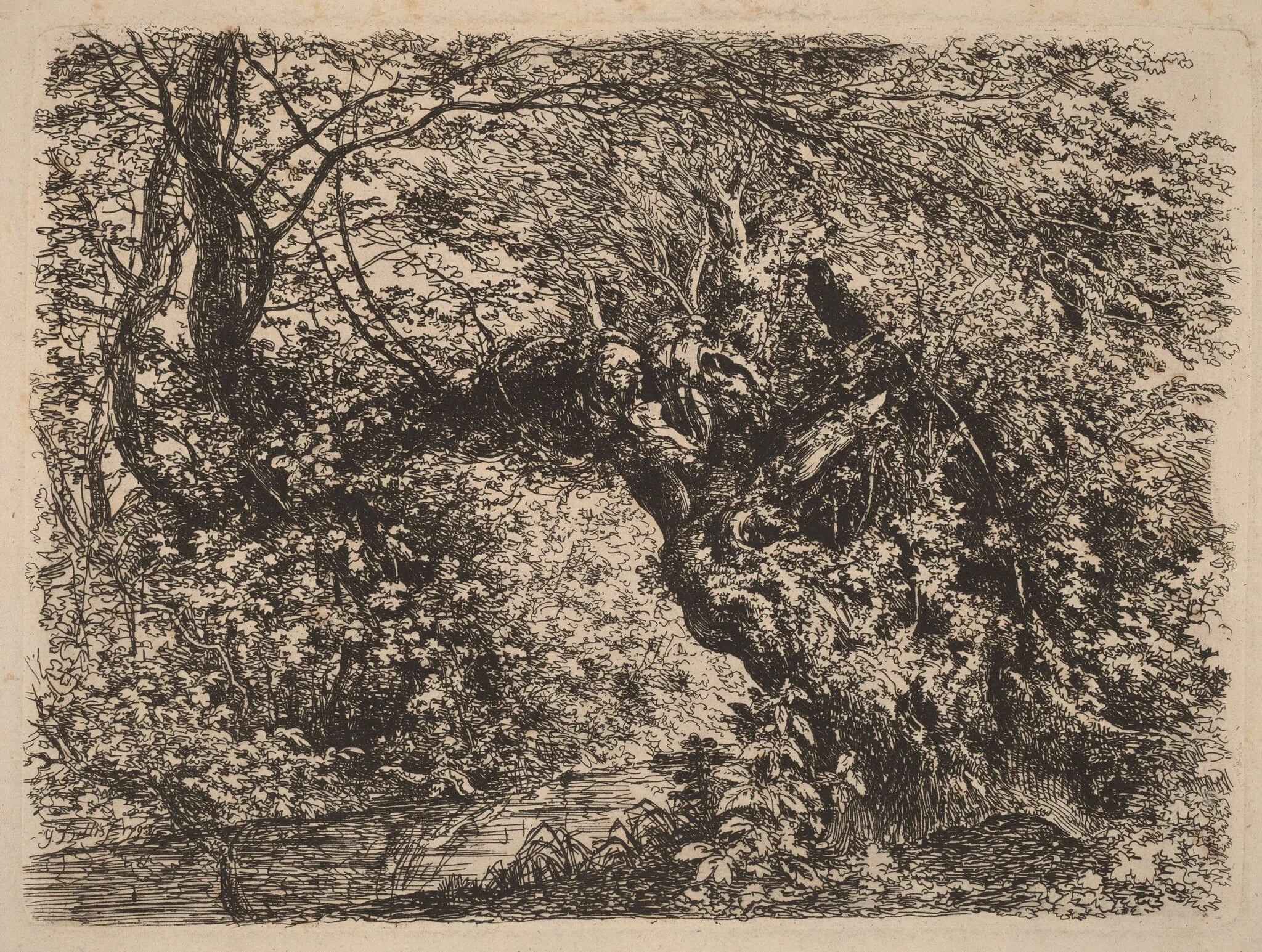 An Old Willow by a Stream, detail
