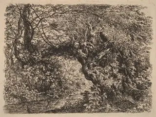 An Old Willow by a Stream, by Johann Georg von Dillis, ink, 1793