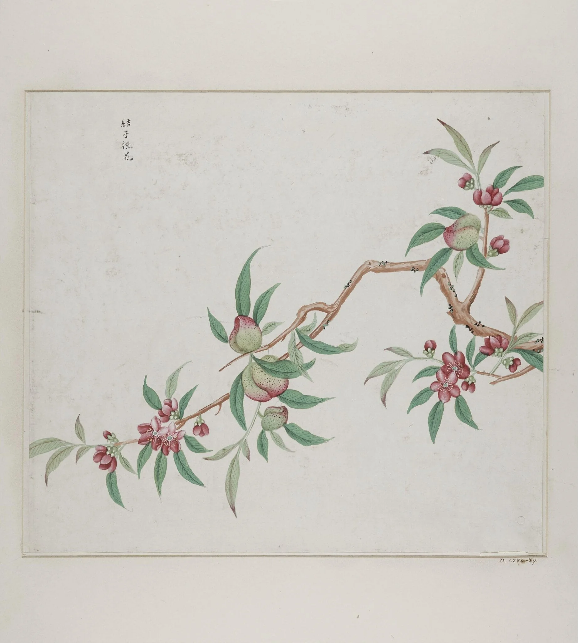 Jie zi tao hua, detail