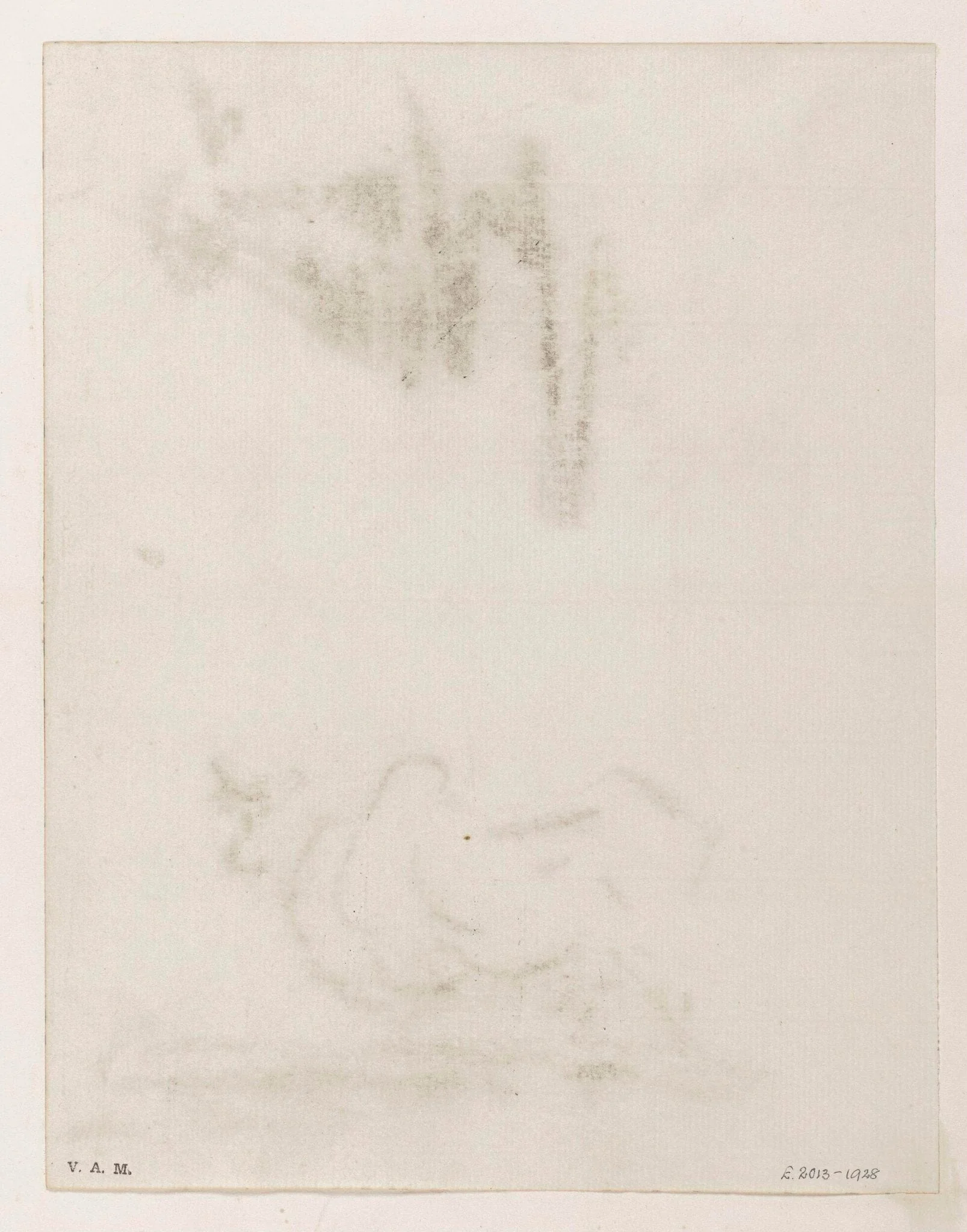 A cow, detail