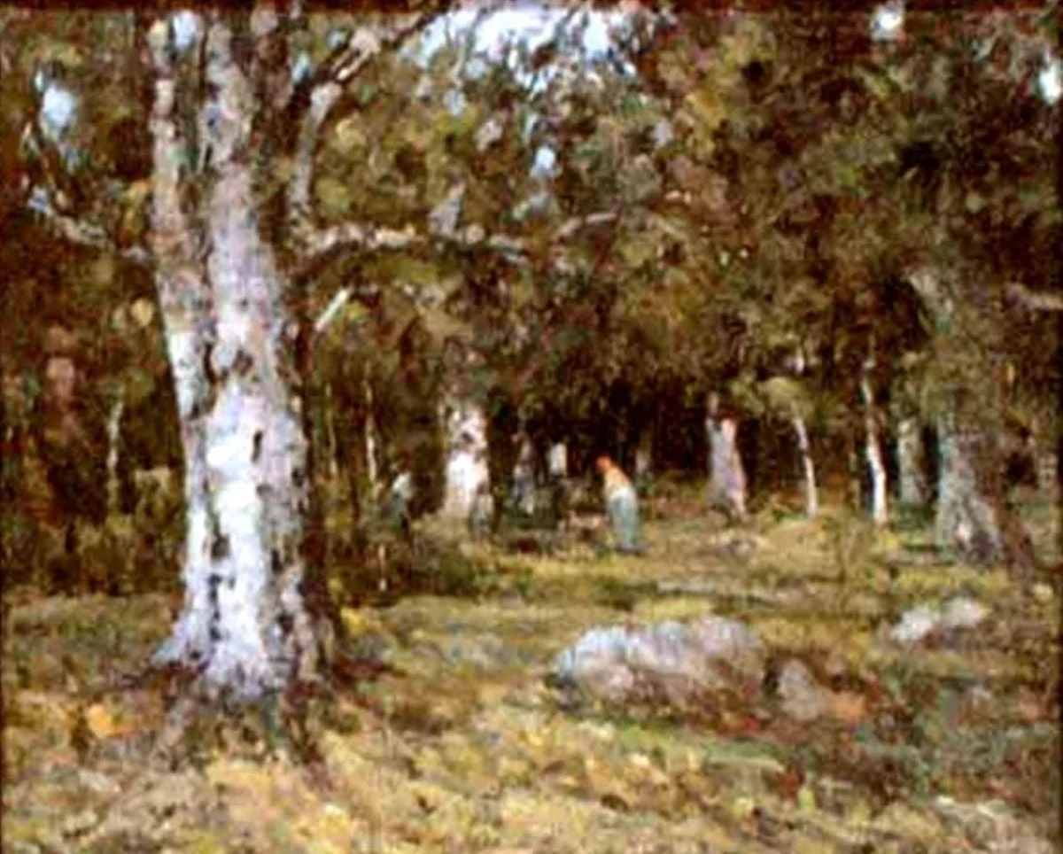 Pădure de fagi vara, detail