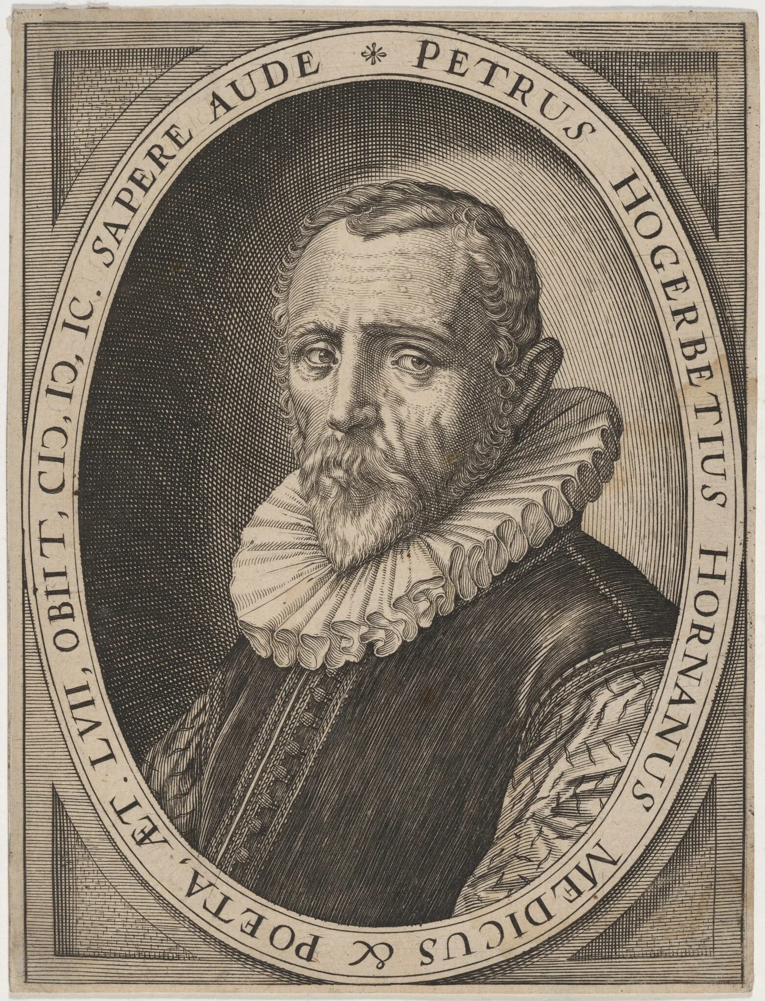 Petrus Hogerbeets Hornanus, detail
