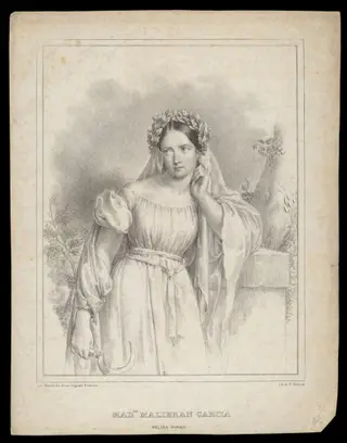 H Beard Print Collection, by De Marchi, 1850