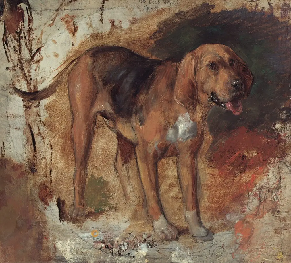 Study of a bloodhound, by William Holman Hunt, unspecified, 1848