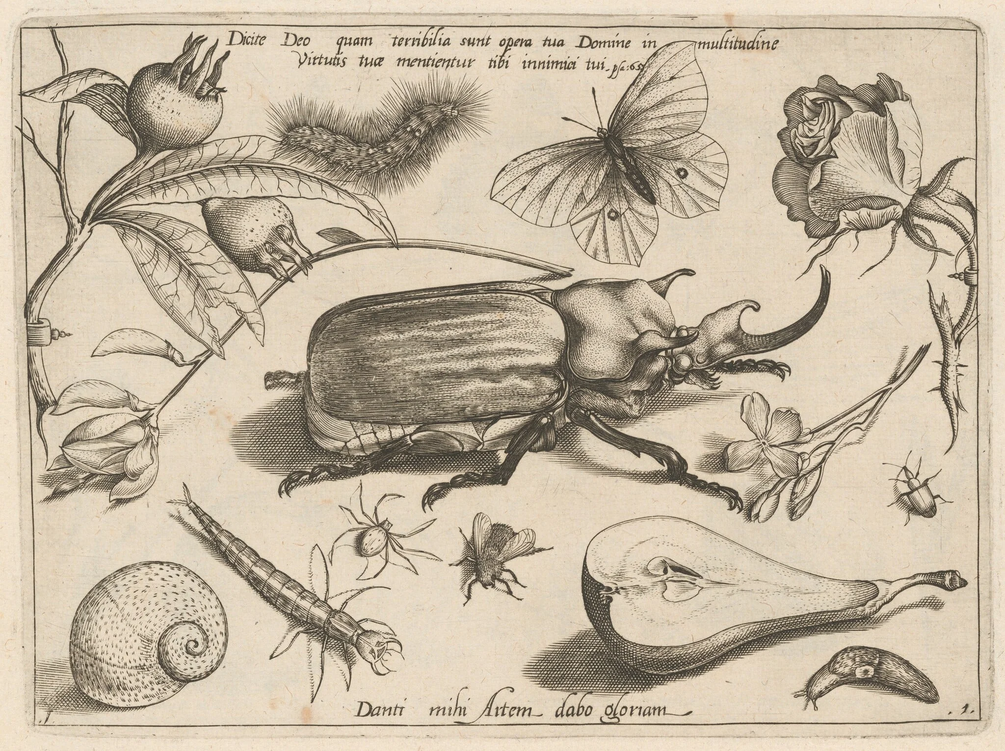 Part 1, Plate 1, from the series Archetypa studiaque (Archetypes and Studies), detail