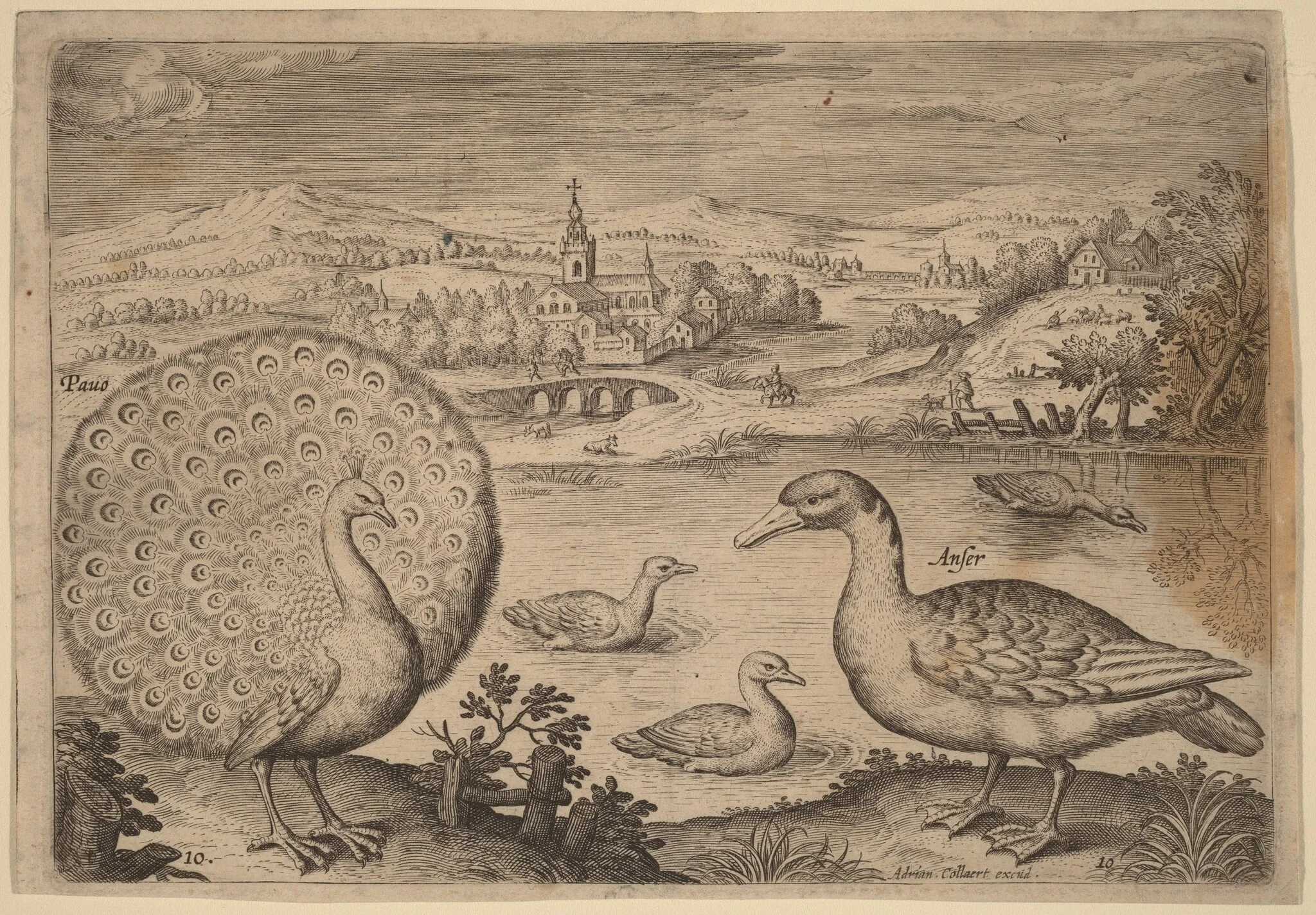 Peacock and Goose, detail