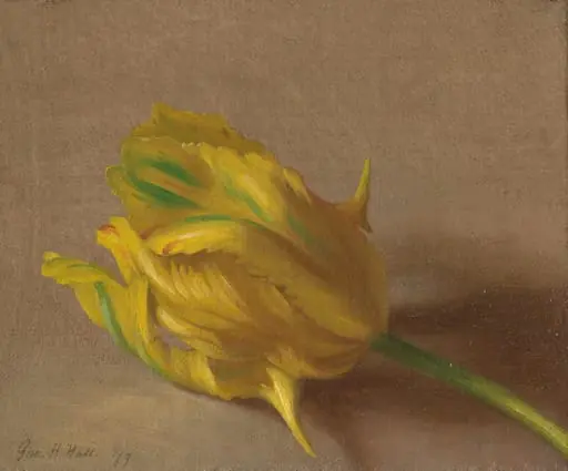 Tulip, by George Henry Hall, oil, 1869