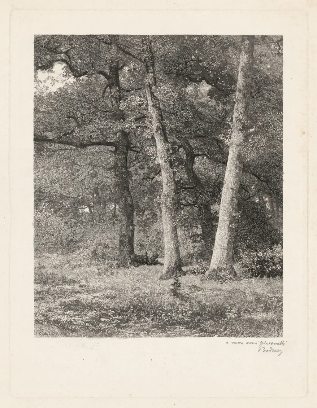 A Forest Clearing, by Karl Bodmer, ink, 1851
