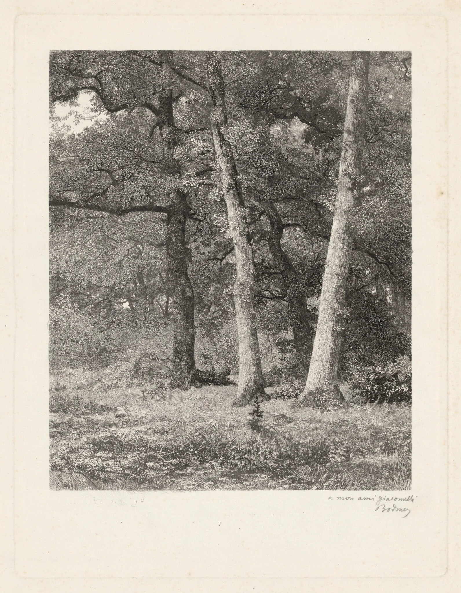 A Forest Clearing, detail