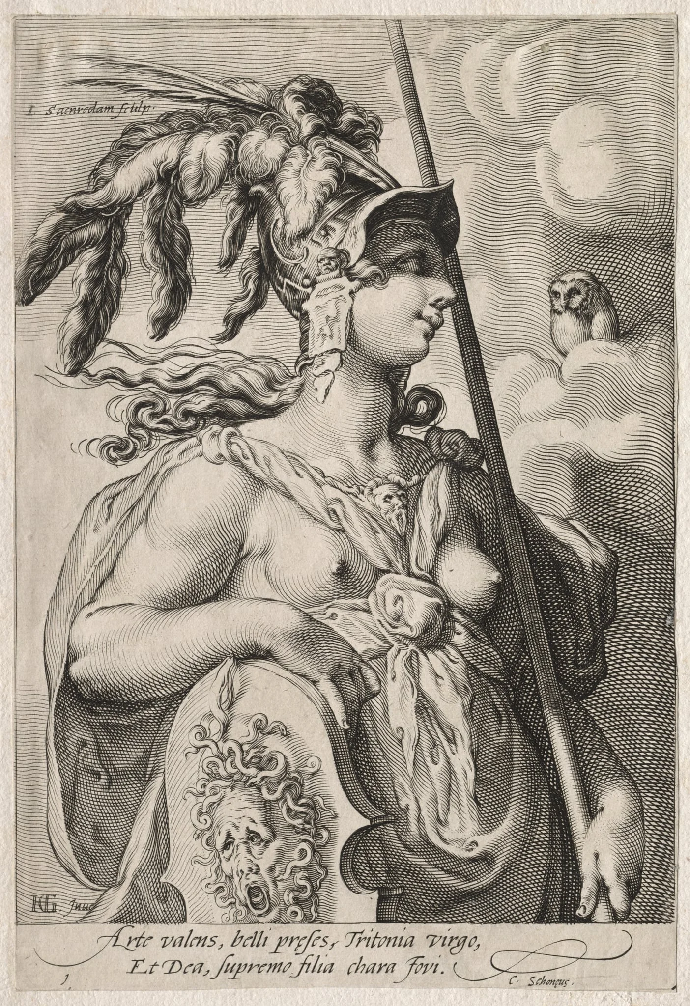 Pallas Athena, detail
