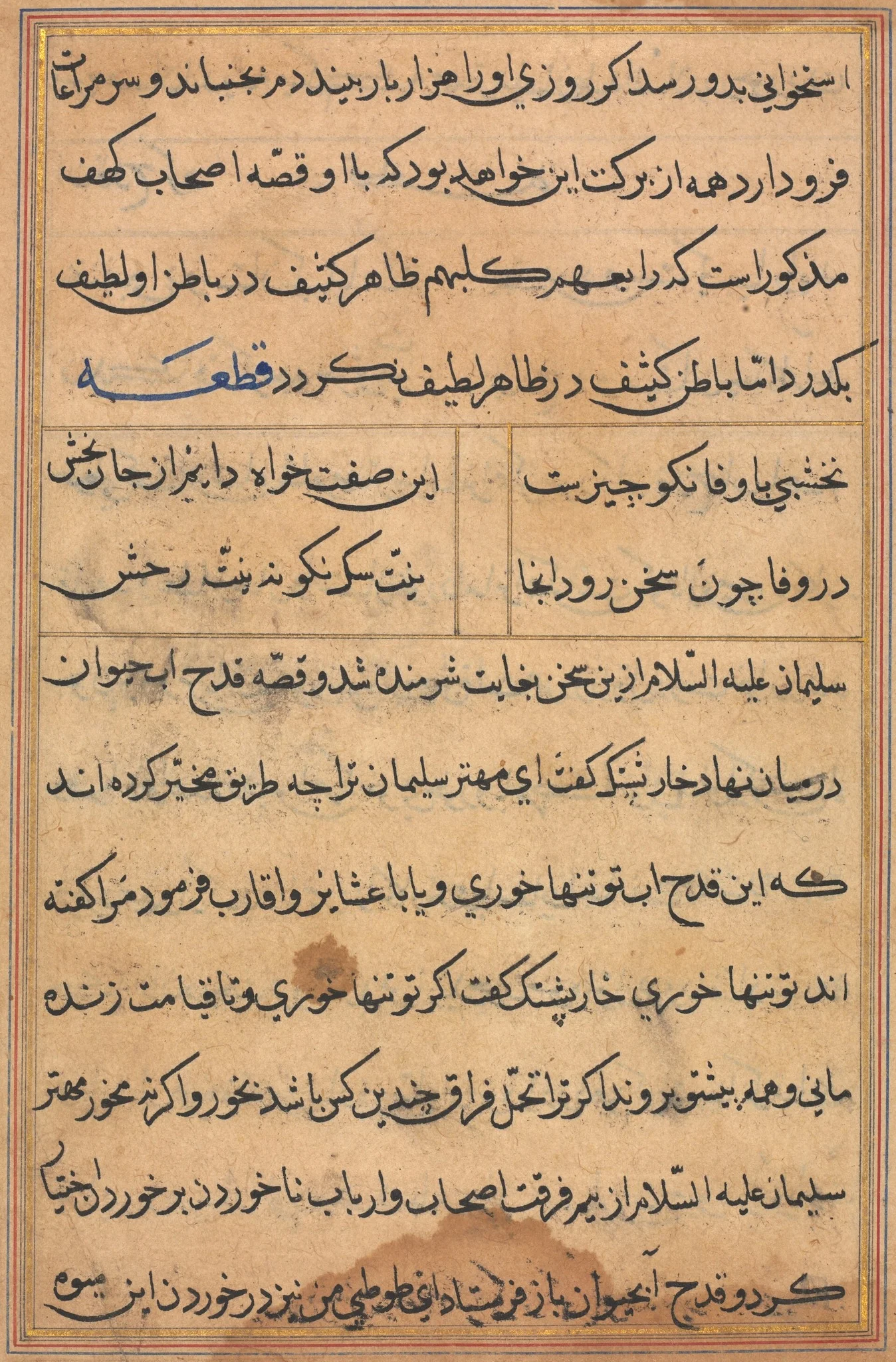Page from Tales of a Parrot (Tuti-nama): text page, detail