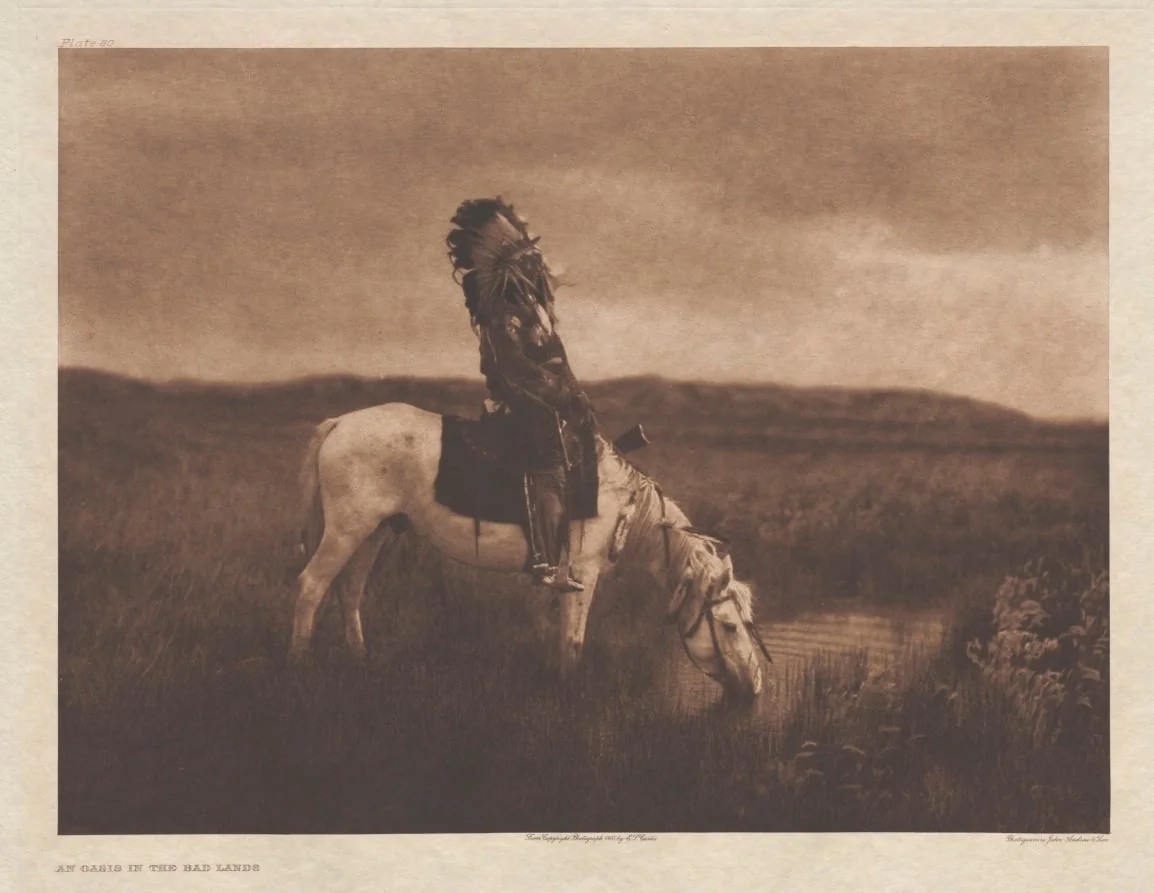 Portfolio III, Plate 80: An Oasis on the Bad Lands, detail
