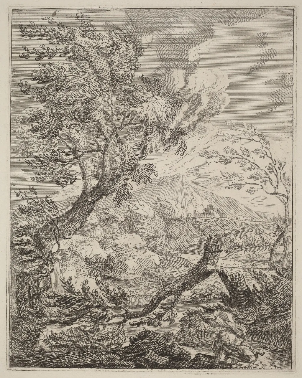 The Withered Tree, by Crescenzio Onofri, ink, 1696