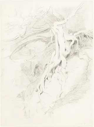 The Yew at Clifton, by Thales Fielding, graphite, 1815