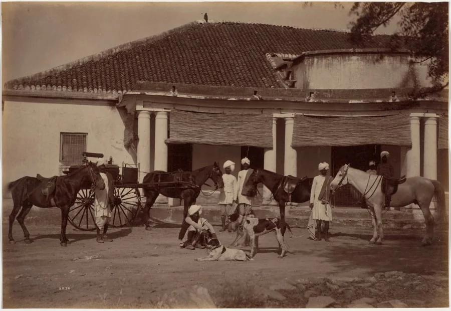 Mr. Brown's Horses, Jhansi, detail