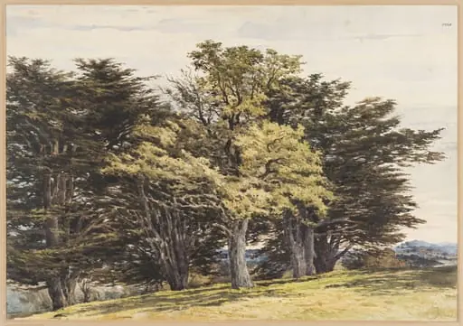 Guildford, by Pyne, watercolor