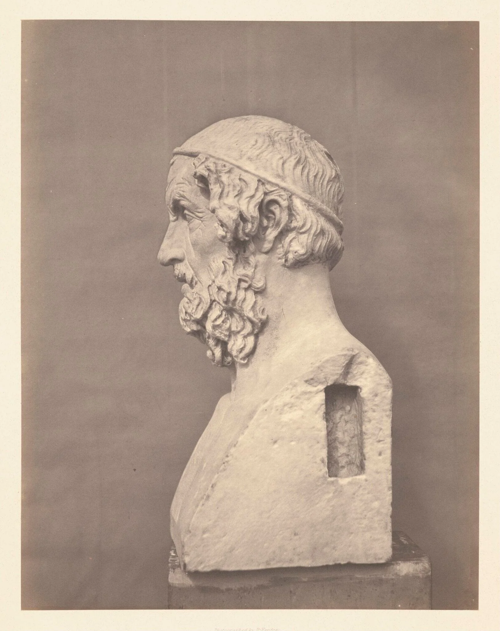 Homer, detail