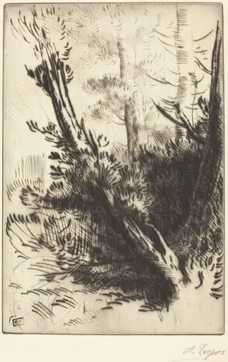 In the Woods (Dans les bois), by Alphonse Legros, ink, 1874