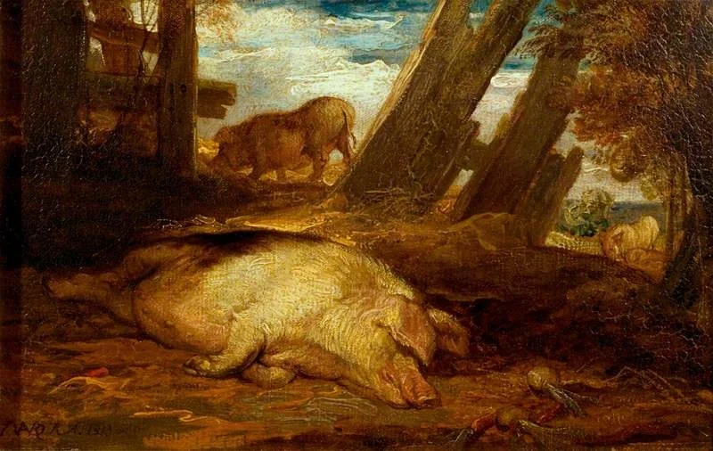 Pigs, detail
