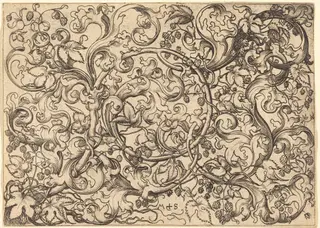 Ornament with Hop Vine, by Martin Schongauer, ink, 1485