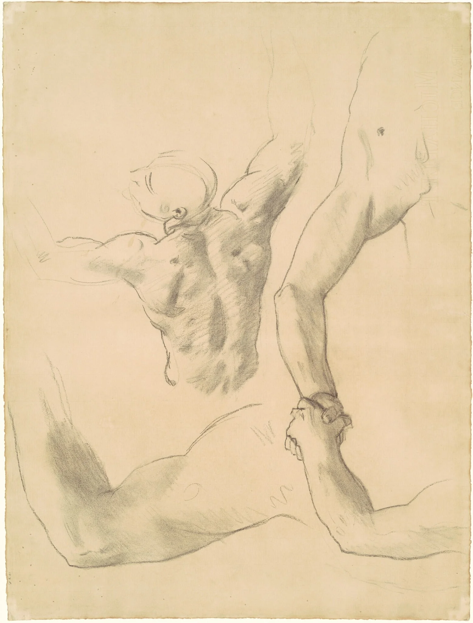 Studies for "Two Classical Male Figures Wrestling", detail