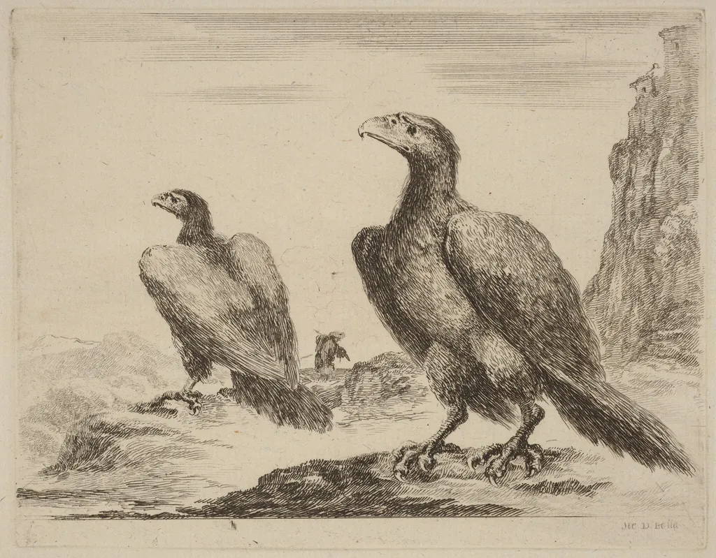 Two Eagles, Both with Heads Turned to the Left, On a High Cliff, by Stefano Della Bella, ink, 1637