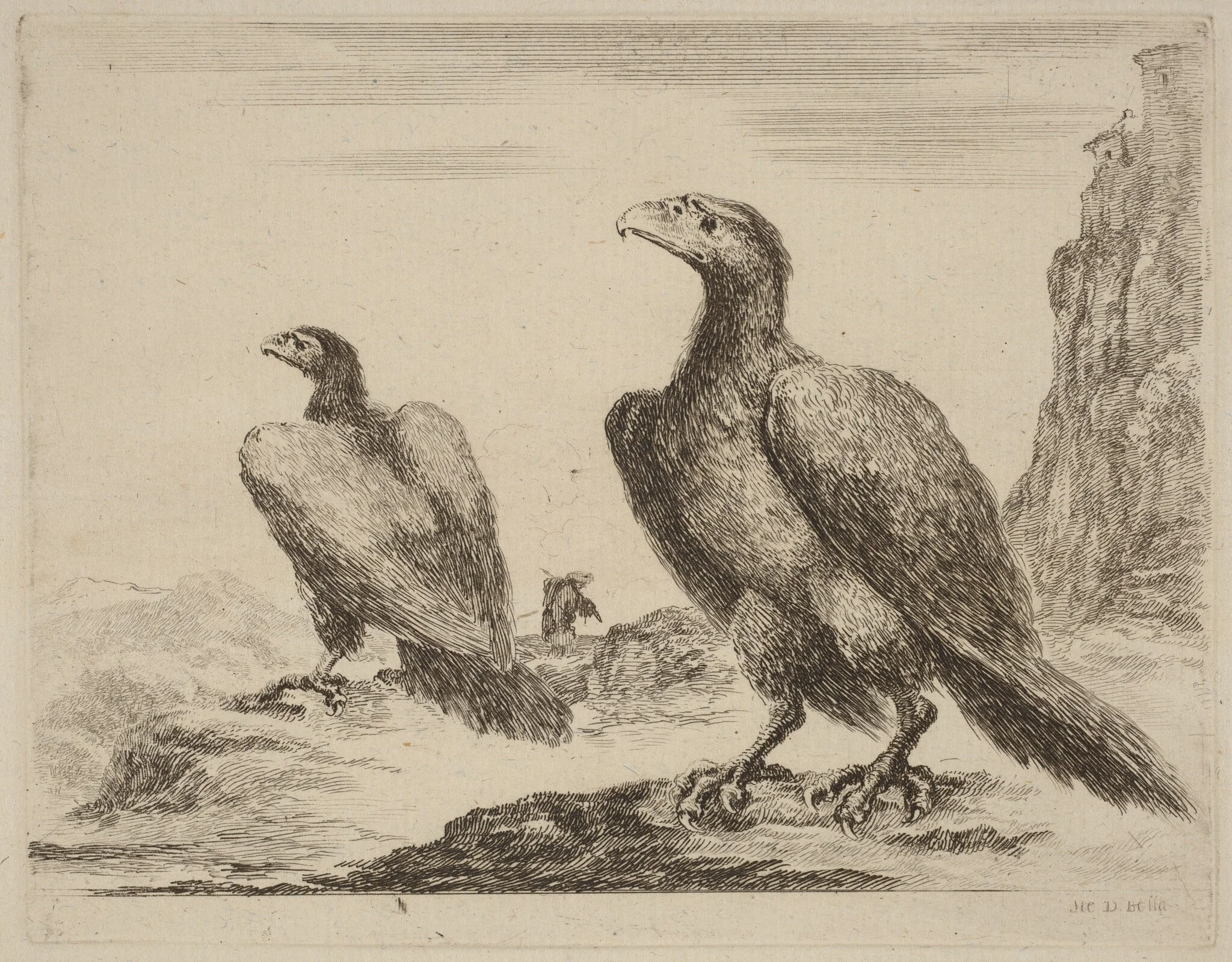 Two Eagles, Both with Heads Turned to the Left, On a High Cliff, detail