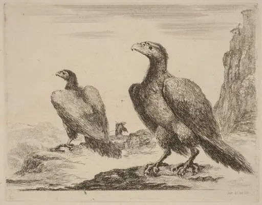Two Eagles, Both with Heads Turned to the Left, On a High Cliff, by Stefano Della Bella, ink, 1637