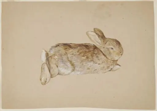 Untitled, by Beatrix Potter, watercolor, 1892