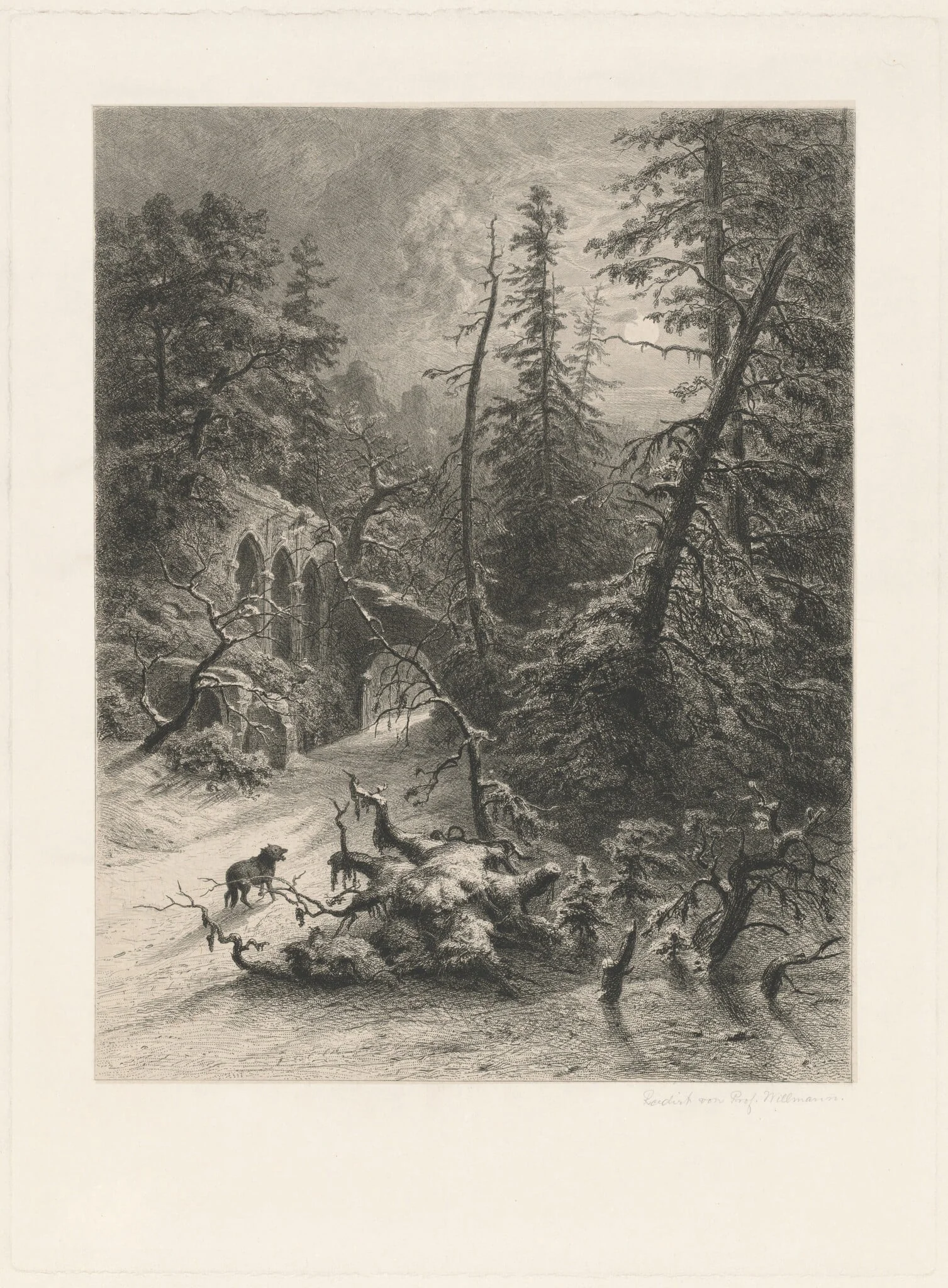Winter, detail