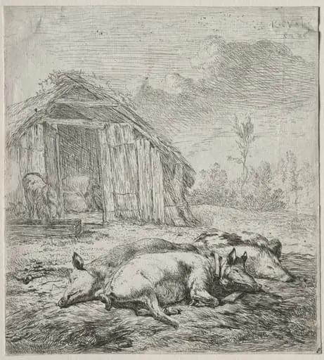 Three Swine Lying in Front of a Sty, by Karel Dujardin, 1652