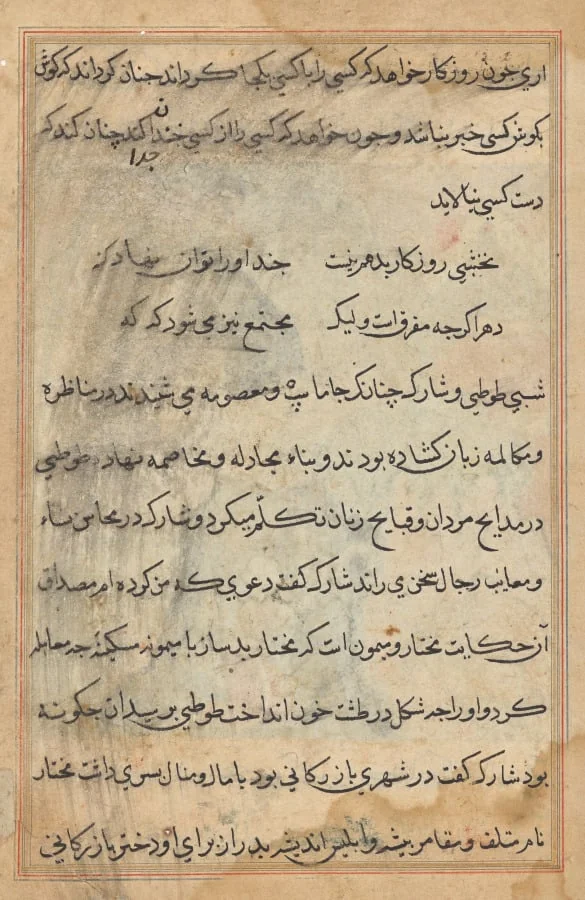 Text page from a Tuti-nama (Tales of a Parrot), detail