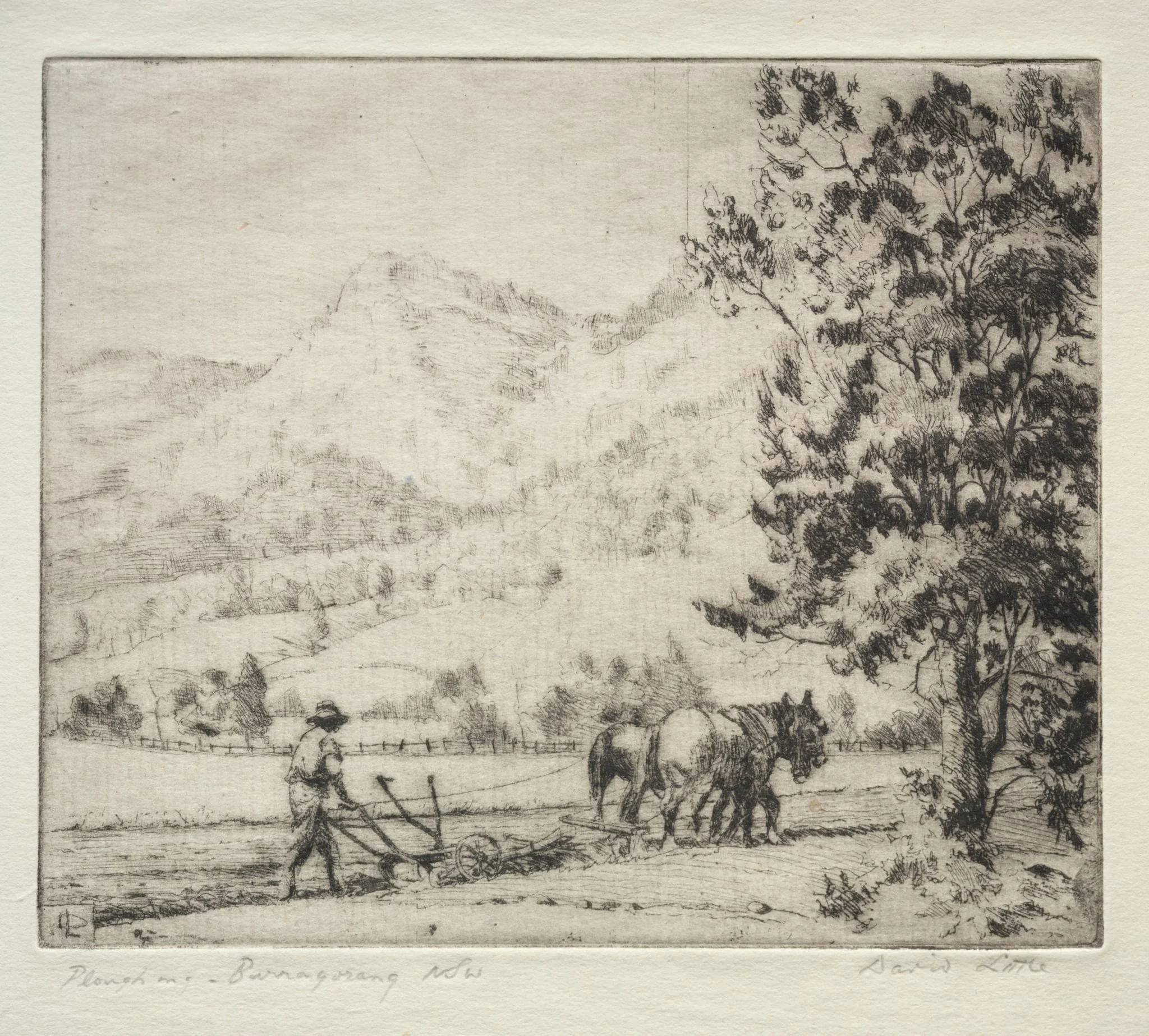 Ploughing - Burragorang, New South Wales, Australia, detail