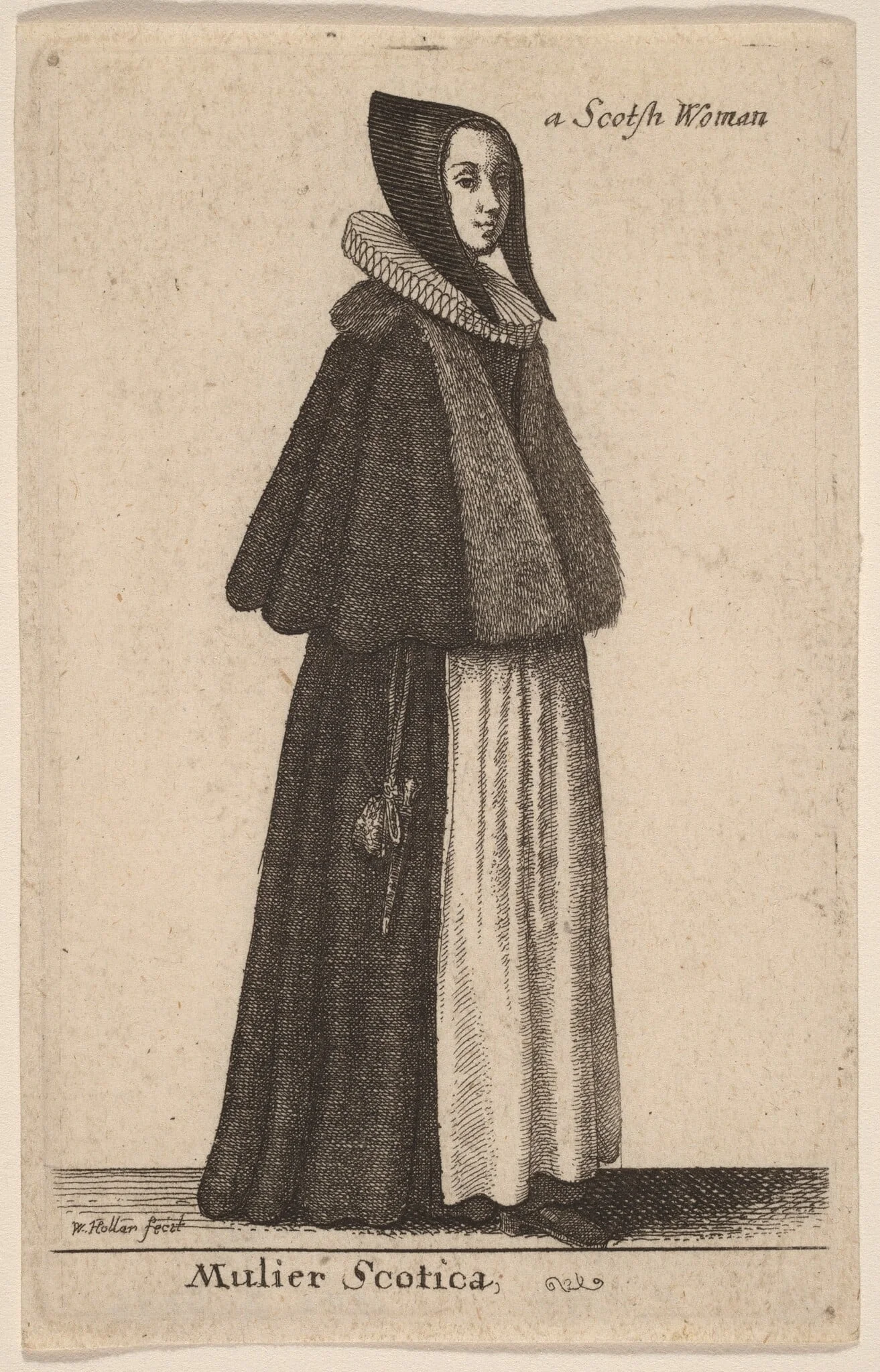 Mulier Scotica, detail